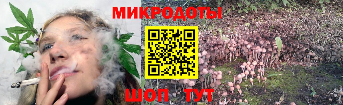 Псилоцибиновые грибы мицелий Зерноград