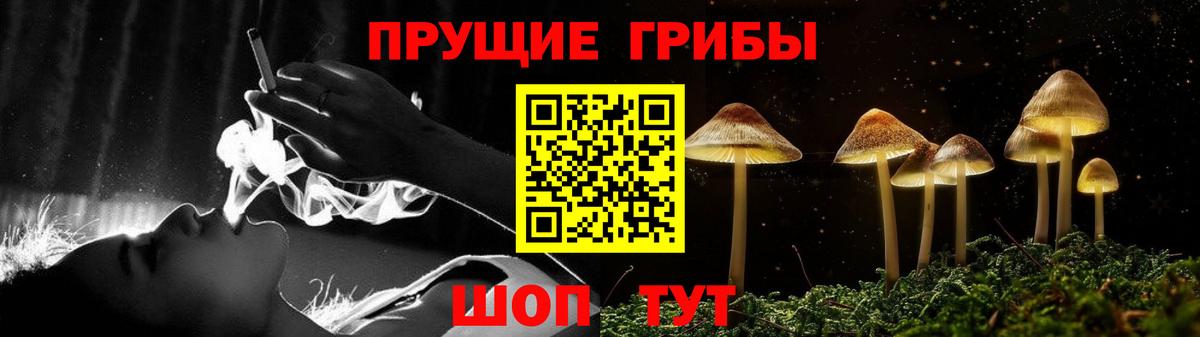 Псилоцибиновые грибы MAGIC MUSHROOMS  Псилоцибиновые грибы MAGIC MUSHROOMS  Зерноград  Вход с VPN 